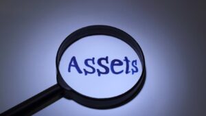 How Private Investigators Conduct Asset Searches